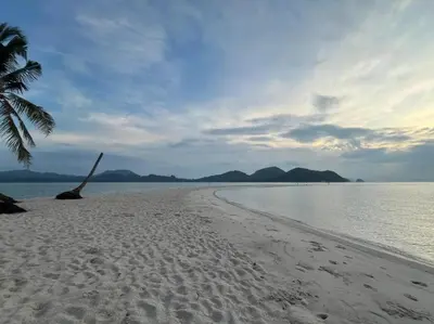 a beach with a palm tree and the ocean at Farm House kohyaoyai in Ko Yao Yai