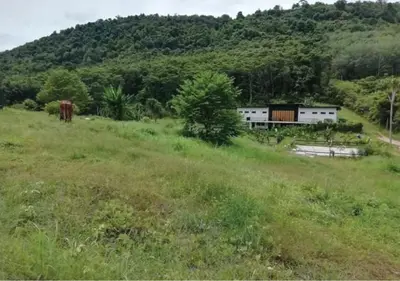 a field with a building in the middle of a hill at Farm House kohyaoyai in Ko Yao Yai