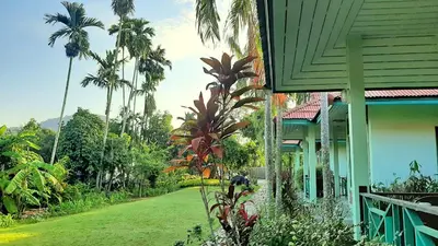 a house next to a yard with palm trees at Swiss Chalet Garden, Pool Resort in Krabi town