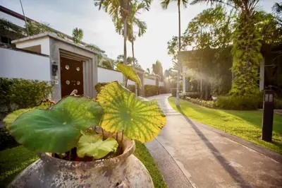 a plant in a pot next to a street at White Lotus by Oxygen at Bang Tao Beach in Ban Thalat Choeng Thale