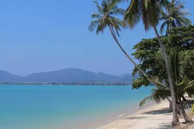 two palm trees on a beach with blue water at Villa Nirvana - Beachfront Tropical Chic 4BR Haven in Cape Panwa, Phuket in Ban Ao Makham