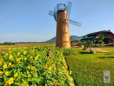 a girl in a field of flowers with a windmill at Rongna Villas in Ko Yao Noi