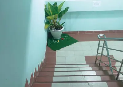 a staircase with a potted plant in a room at Pailin Hill Hotel Patong in Patong Beach