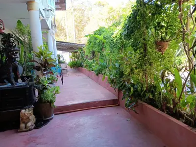 a porch with plants on the side of a house at Baan sikhao Yanui in Rawai Beach