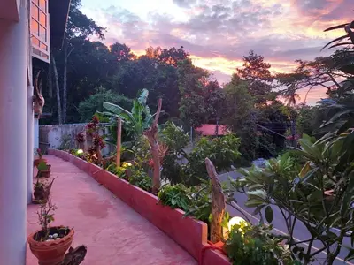 a garden with plants and a sunset in the background at Baan sikhao Yanui in Rawai Beach