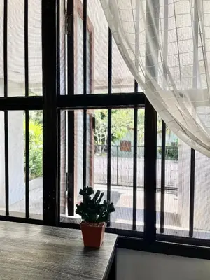 a potted plant sitting on a table in front of a window at 103/24 Kathu Waterfall in Phuket Town