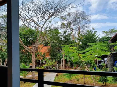 a view of a garden from a window at Bang Yan Rimlay in Ko Yao Noi