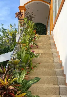 a stairway with a bunch of plants at OASIS 4 or 5 bedroom VILLA in Karon Beach