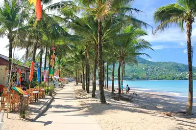 a beach lined with palm trees and a sidewalk at Villa Natural Touch A3 in Kamala Beach