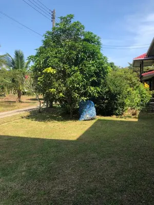 a rock sitting in the grass next to a tree at Thanid House in Ban Nai Khlong
