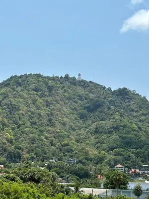 a hill covered in trees with houses on it at Kata Sea Blue in Kata Beach