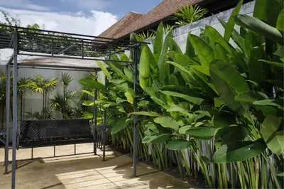 a row of plants in front of a building at Exotic Boutique 4BR Pool Villa Toya, Gated Residence, Rawai in Rawai Beach