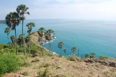 a group of palm trees on a hill next to the ocean at Garden bungalows 4br with private pool in Rawai Beach