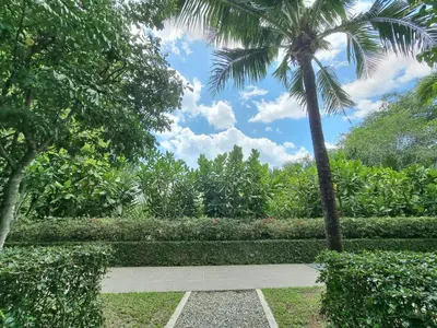 a palm tree and a walkway in a garden at F1 The Title Residencies Naiyang Phuket 1 Floor 1 Bdr in Nai Yang Beach