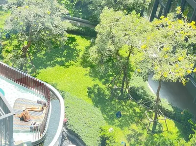 an overhead view of a garden with a pool and trees at The Base Central - Luxury Resort-Style Comfort in Ban Rangeng